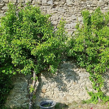 L'Atrium Bed & Breakfast Piegut-Pluviers Bagian luar foto